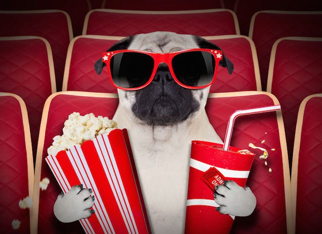 6 Films Sur Le Développement Personnel Et Bien-être à Voir Absolument 6 Films Sur Le Développement Personnel Et Bien-être à Voir Absolument