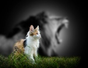 confiance en soi