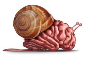 votre cerveau