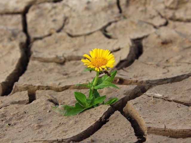 Pourquoi Vous Ne Devriez Jamais Ecouter Ceux Qui Vous Disent : « C’est impossible ! » Pourquoi Vous Ne Devriez Jamais Ecouter Ceux Qui Vous Disent : « C’est impossible ! »