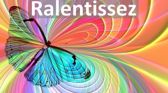 15 Astuces Simples Pour Ralentir Sa Vie Sans Devenir Un Escargot 15 Astuces Simples Pour Ralentir Sa Vie Sans Devenir Un Escargot