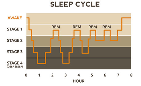 cycle sommeil rem