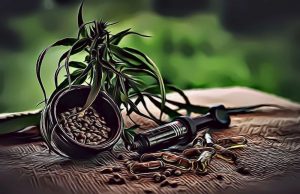 Quels Sont Les Avantages Pour La Santé Des Graines De Cannabis? Quels Sont Les Avantages Pour La Santé Des Graines De Cannabis?