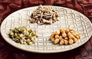 Quel Féculent Sans Gluten Consommer ? Quel Féculent Sans Gluten Consommer ?