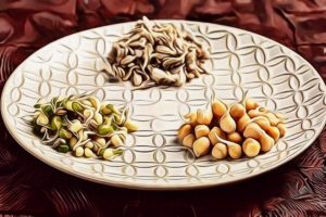 Quel Féculent Sans Gluten Consommer ?