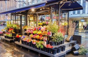 Pourquoi Votre Petite Nouvelle Entreprise de Fleuriste Devrait Utiliser le Marketing par SMS Pourquoi Votre Petite Nouvelle Entreprise de Fleuriste Devrait Utiliser le Marketing par SMS